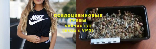 стаф Алексин