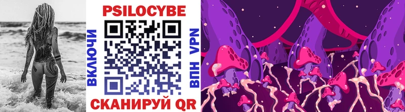 закладка  это клад  Галлюциногенные грибы Cubensis  Черкесск 